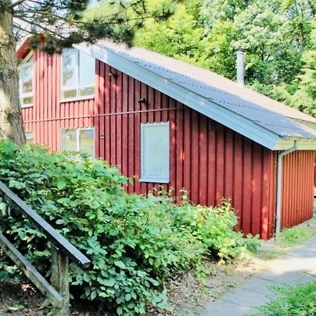 Komfort-Ferienhaus - Extertal Ferienpark - Entspannung, Natur, Wald, Familie #51 Экстерьер фото